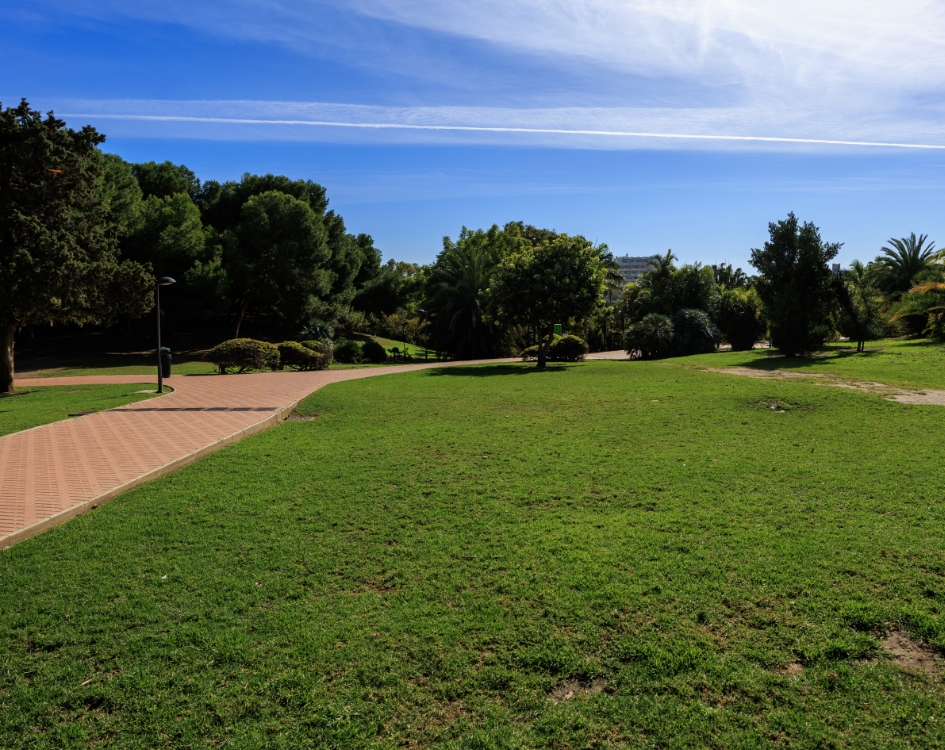 A view through Parque de la Paloma with paths and mature trees