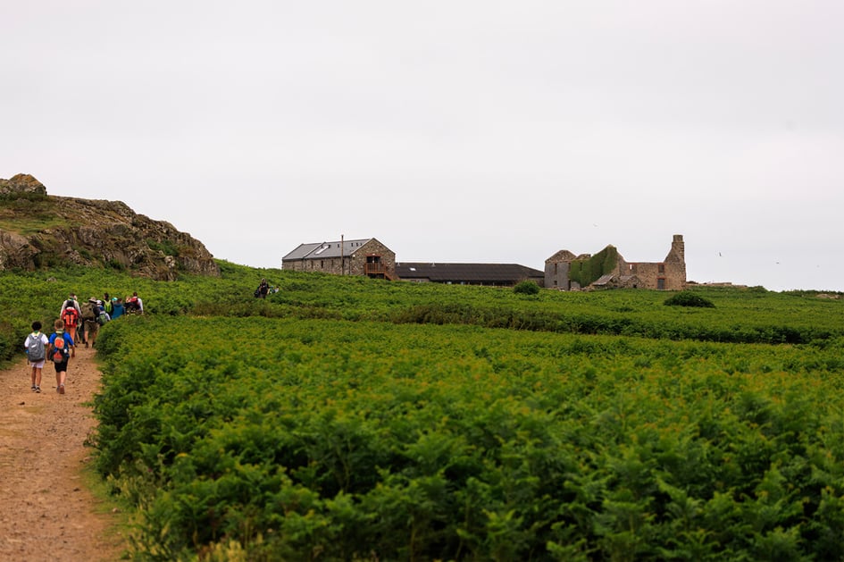 Visitors walking the path towards The Farm buildings at the centre of Skomer Island