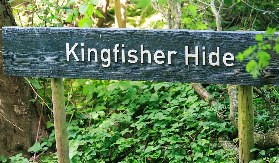 The Kingfisher Hide at Slimbridge Wetland Centre