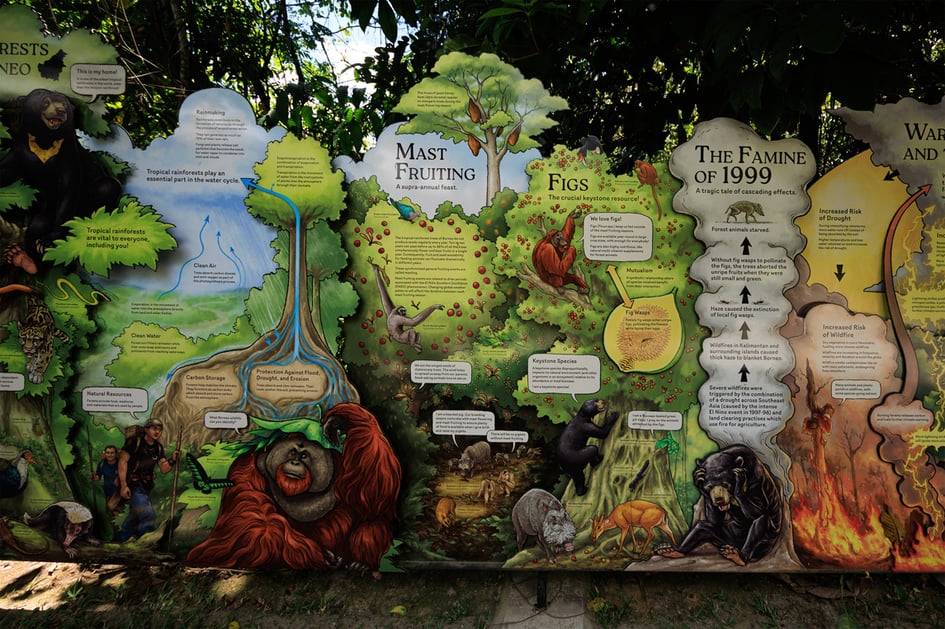 Information display boards explaining the history and mission of the sun bear conservation centre