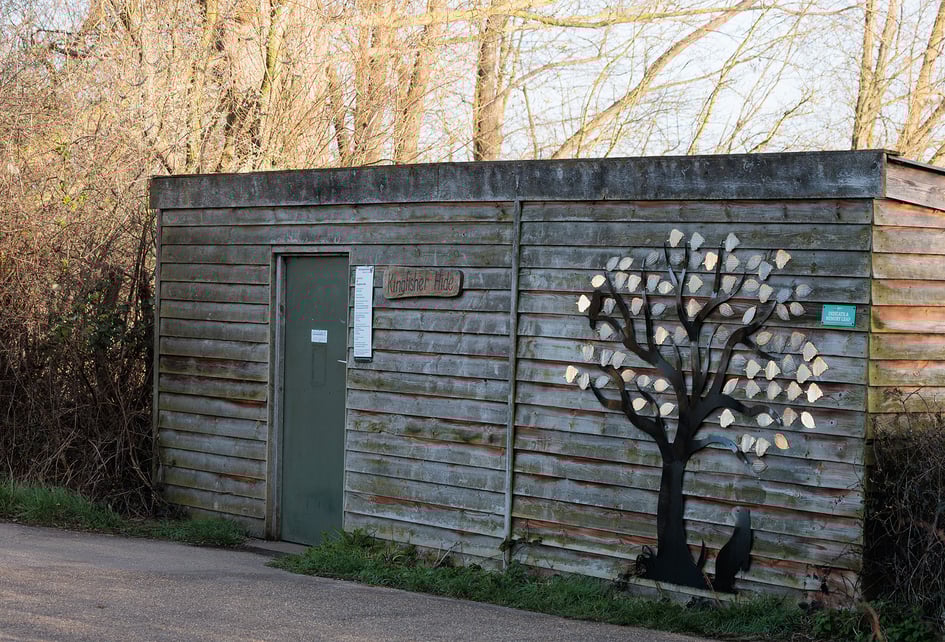 A wooden bird hide building at Attenborough Nature Reserve with decorative metalwork tree artwork on the wall